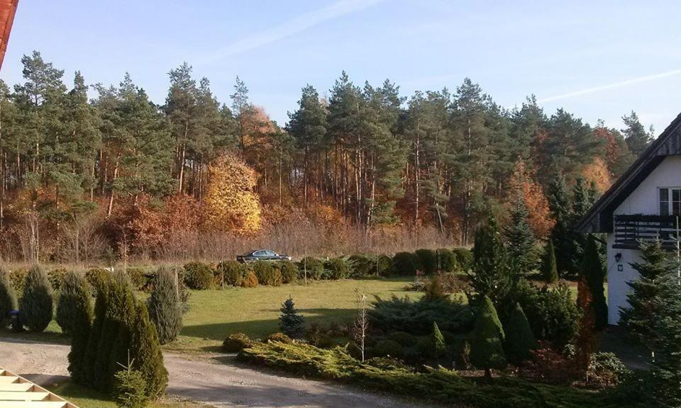 Pokoje Goscinne Przylesie Lobez Bagian luar foto