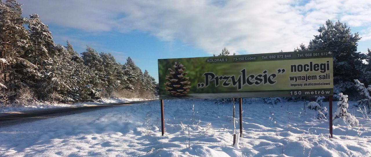 Pokoje Goscinne Przylesie Lobez Bagian luar foto
