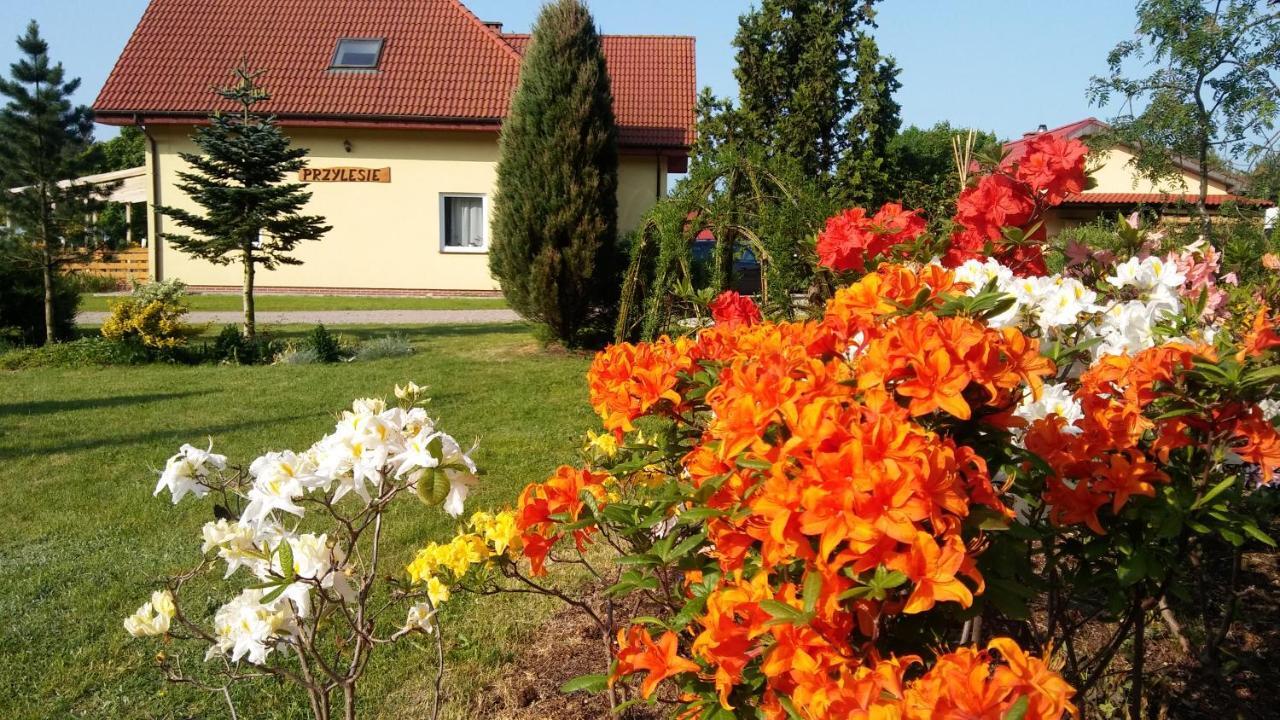 Pokoje Goscinne Przylesie Lobez Bagian luar foto